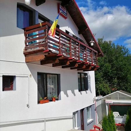 Villa Vila Darian à Buşteni Extérieur photo
