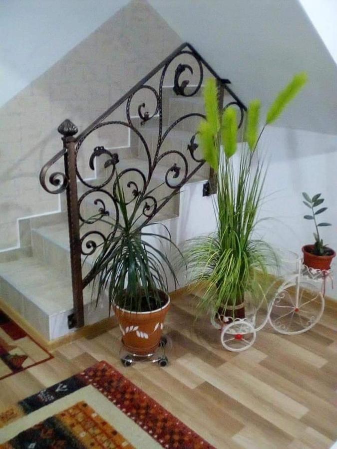 Villa Vila Darian à Buşteni Extérieur photo