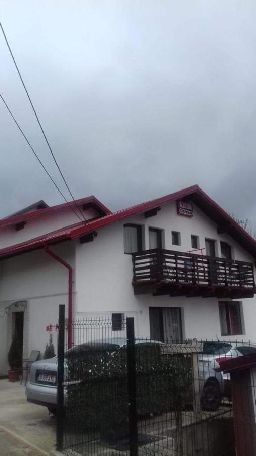 Villa Vila Darian à Buşteni Extérieur photo