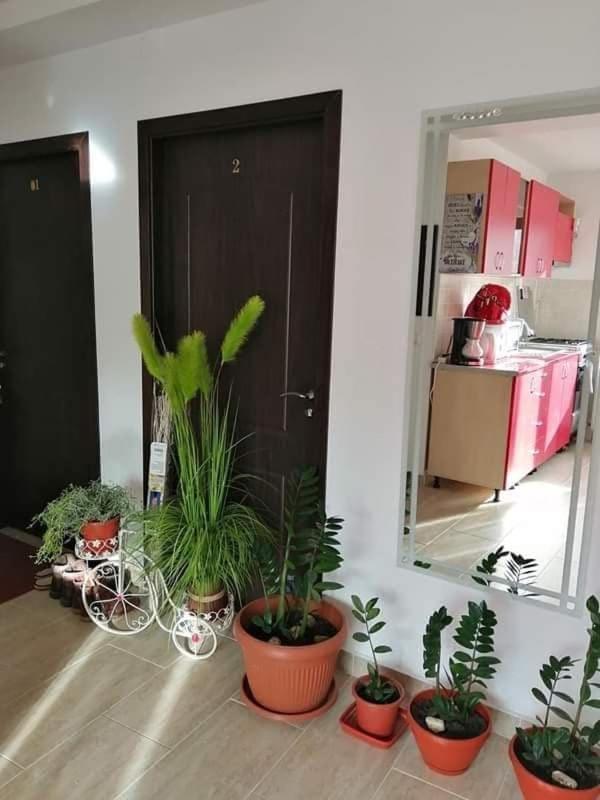 Villa Vila Darian à Buşteni Extérieur photo