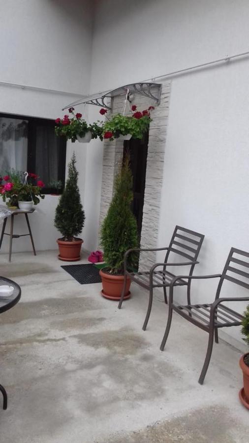Villa Vila Darian à Buşteni Extérieur photo