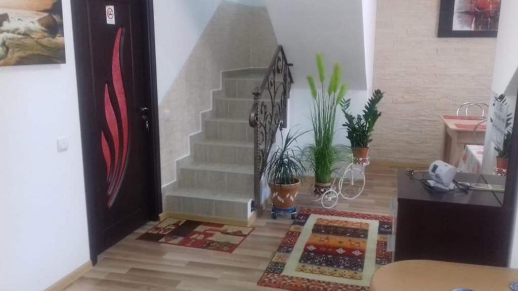 Villa Vila Darian à Buşteni Extérieur photo