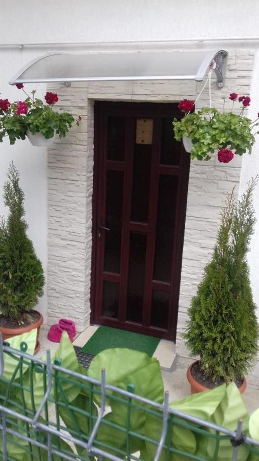 Villa Vila Darian à Buşteni Extérieur photo