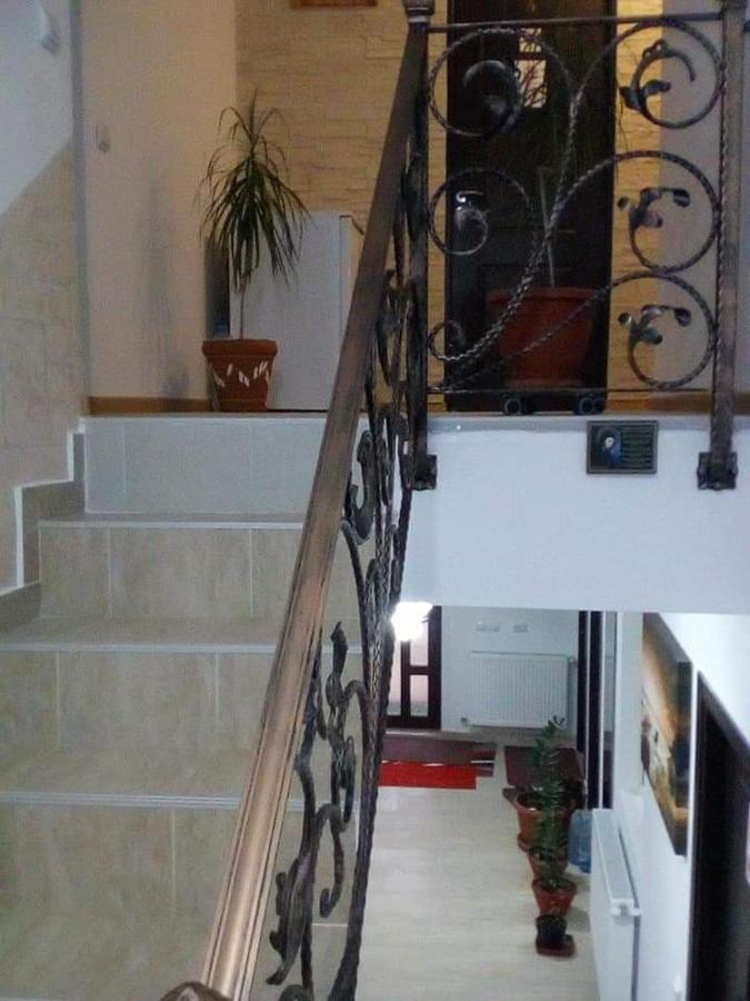 Villa Vila Darian à Buşteni Extérieur photo