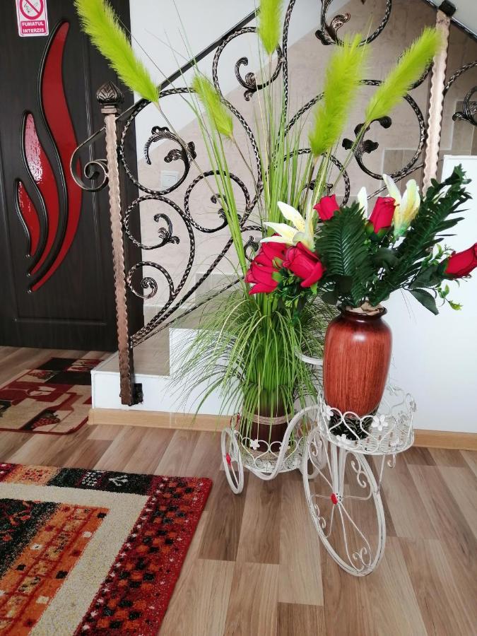 Villa Vila Darian à Buşteni Extérieur photo