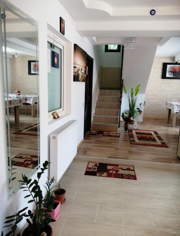 Villa Vila Darian à Buşteni Extérieur photo