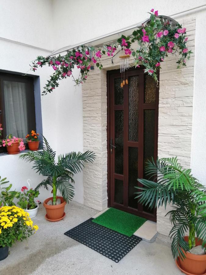 Villa Vila Darian à Buşteni Extérieur photo
