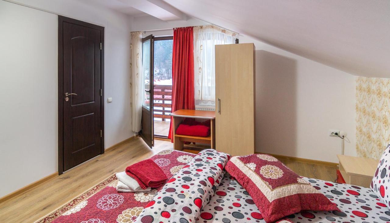 Villa Vila Darian à Buşteni Extérieur photo