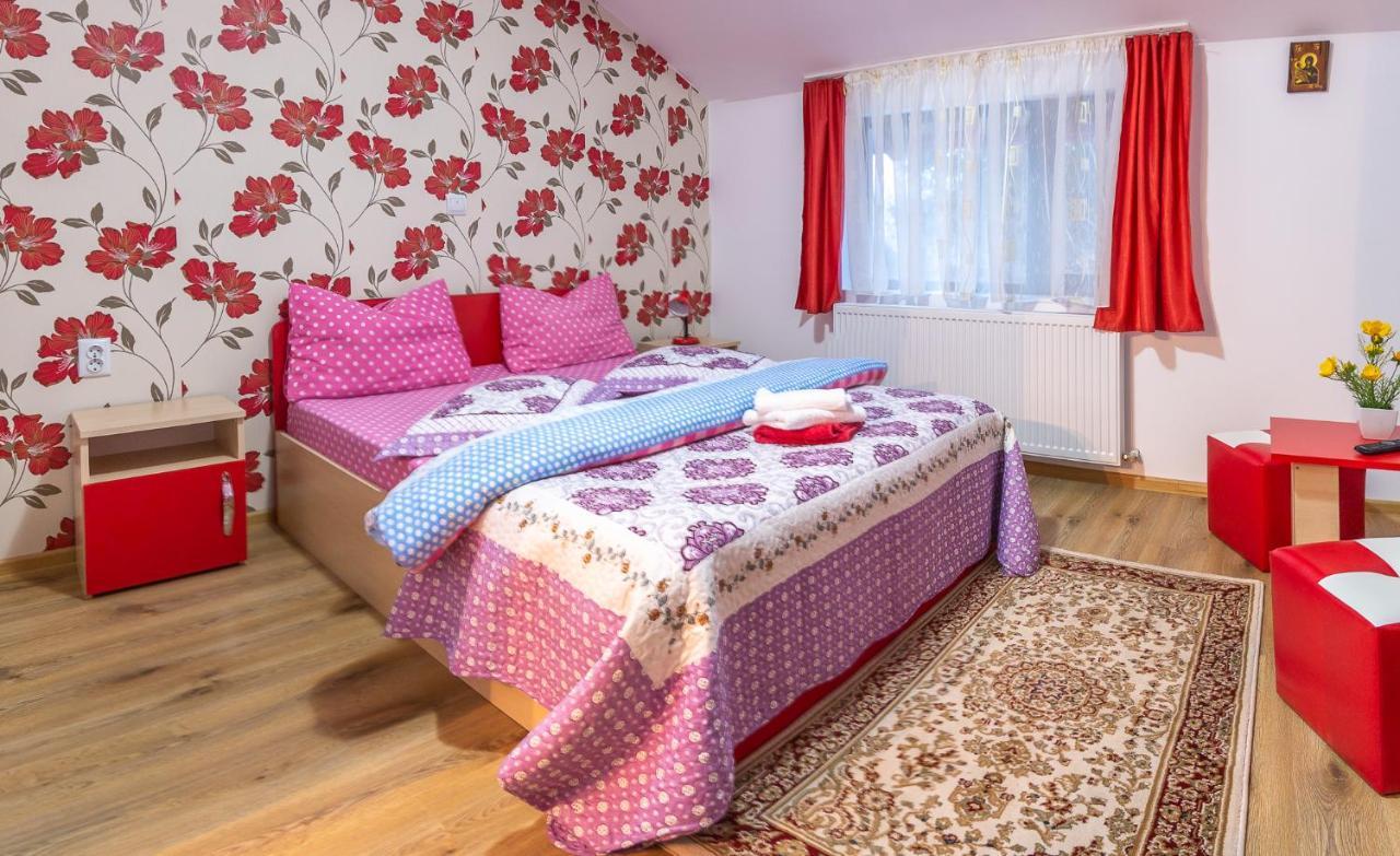 Villa Vila Darian à Buşteni Extérieur photo