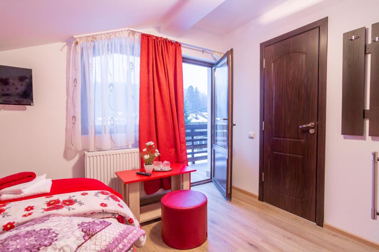 Villa Vila Darian à Buşteni Extérieur photo
